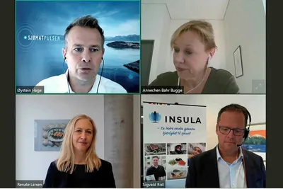 Sjømatpulsen-webinar: Slik velger kundene matprodukter