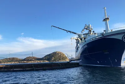 Slaktebåt, høye(re) laksepriser og tregt skreifiske