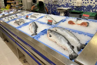 – Markedet er som oss, slapp i varmen, og mye fisk