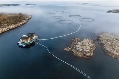 Dette er beste norske selskap på Time-rangering