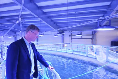 Landbasert: Fredrikstad Seafood har slaktet sin siste laks – nå har de funnet en mer lønnsom art