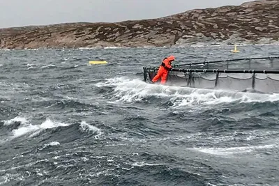 Havnasjonen og den historiske nullvisjonen