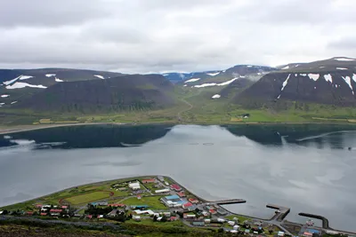 Islandsk mat- og veterinærmyndighet om Arctic Fish-hendelsen: – Det viktigste nå er å få fisken raskest mulig vekk fra merdene