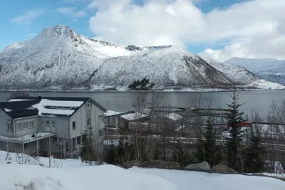 Stor uro etter Salmars Wilsgård-planer