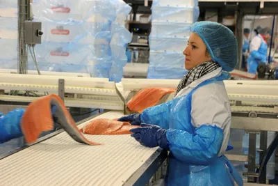Nå er det fisken sin tur!