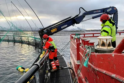 Sinkaberg: – Vi er godt fornøyd med resultatene tross en betydelig nedgang fra i fjor
