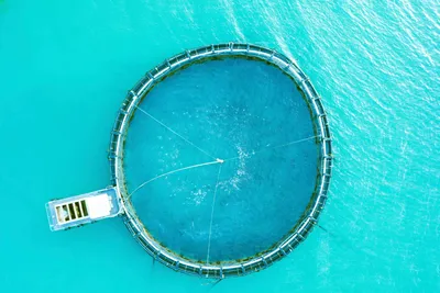Slapp børsdebut for Barramundi Group
