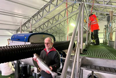 Landbasert oppdrett utfordrer laksebransjen: – Målet er å komme under 30 kroner kiloen