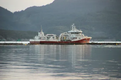 Mann over bord på brønnbåten «Namsos» natt til tirsdag