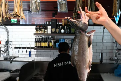 Her selges den utskjelte fisken: – Vi tester responsen hos kundene