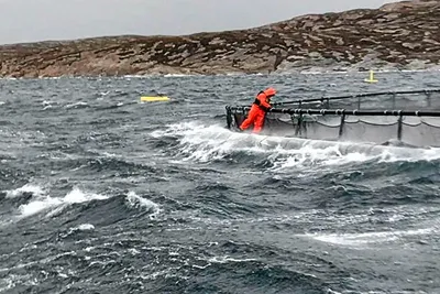 Ansatte i havbruk har det mest risikoutsatte yrket i Norge etter fiskeri: Hele åtte år siden forrige HMS-undersøkelse