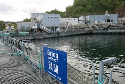 Folketrygdfondet selger seg ned i Grieg Seafood