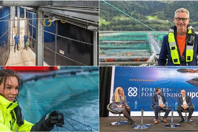 Mest leste i 2021: Desse sakene blei mest lest av abonnentane i andre halvår