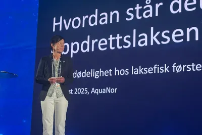 Dødeligheten i oppdrettsnæringa går ned – men ingen grunn til å puste lettet ut