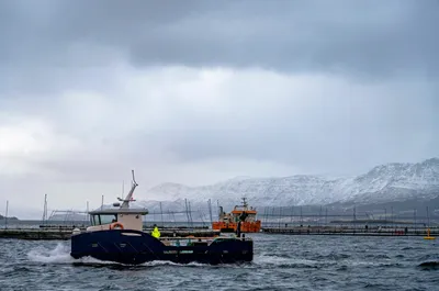 Mener veksten må komme fra oppdrettstorsk