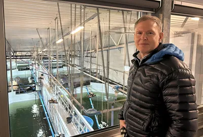 Mowi i ferd med å ta igjen marginvinner Salmar