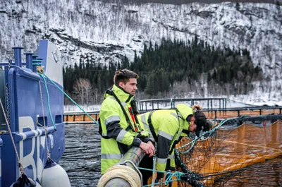Wenberg Fiskeoppdrett og Edelfarm reddet Thor Hushovds veddemål
