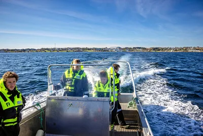Flat utvikling i søkertallene til akvakultur. Antallet jenter går ned