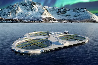 Salaks ville ha flere Fjordmax-tillatelser – fikk nei fra staten