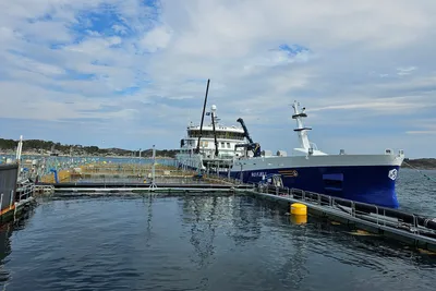 Økt overskudd for brønnbåtrederi