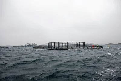 Etterlyser mer kunnskap om utslipp av kobber, ser fortsatt rømming som en av de største risikofaktorene