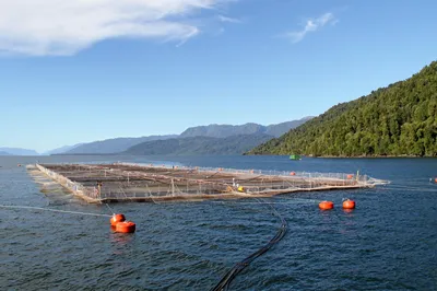 Produksjonen faller: Alarmklokkene ringer i Chile
