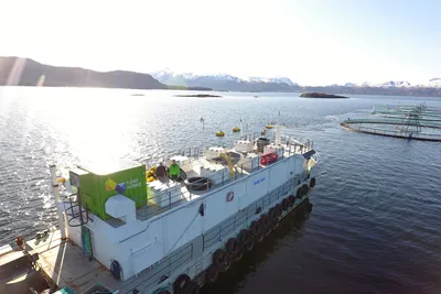 Svanøy Havbruk har elektrifisert to nye lokaliteter