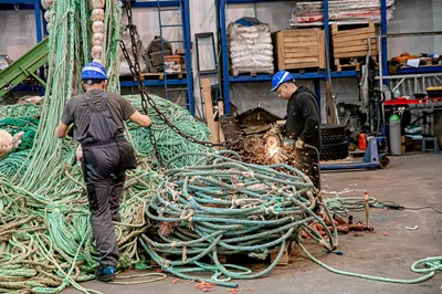 Nofir starter nytt selskap for å redde havbruksnæringen fra kjemperegning