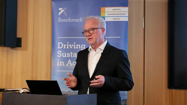 Williksen går av som sjef i Benchmark Holdings