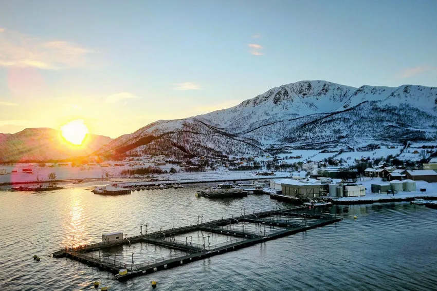 Platina og Hofseth tar over Alsvåg Lakseslakteri -- og inviterer ansatte og lokalt næringsliv med