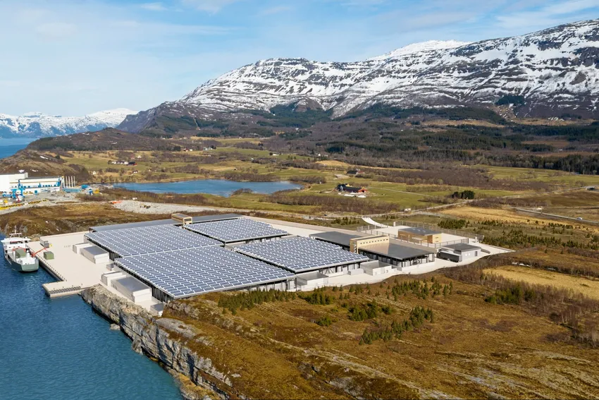 Store summer til havnæringene – landbasertselskap fikk størst tilbud blant sjømatnæringen