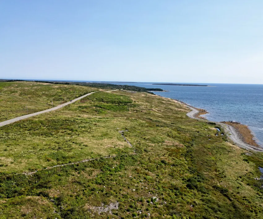 Offshore wind developer plans major hydrogen-to-sustainable aviation fuel plant