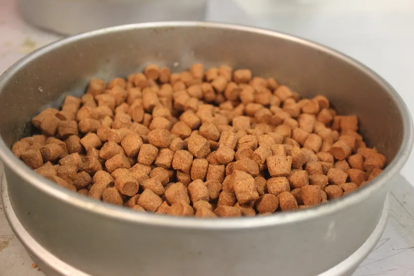Kan vegetarkost gå utover lakse-helsen?