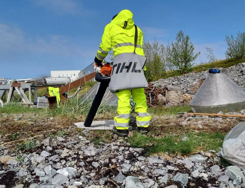 Her rydder Grieg Seafood opp etter seg