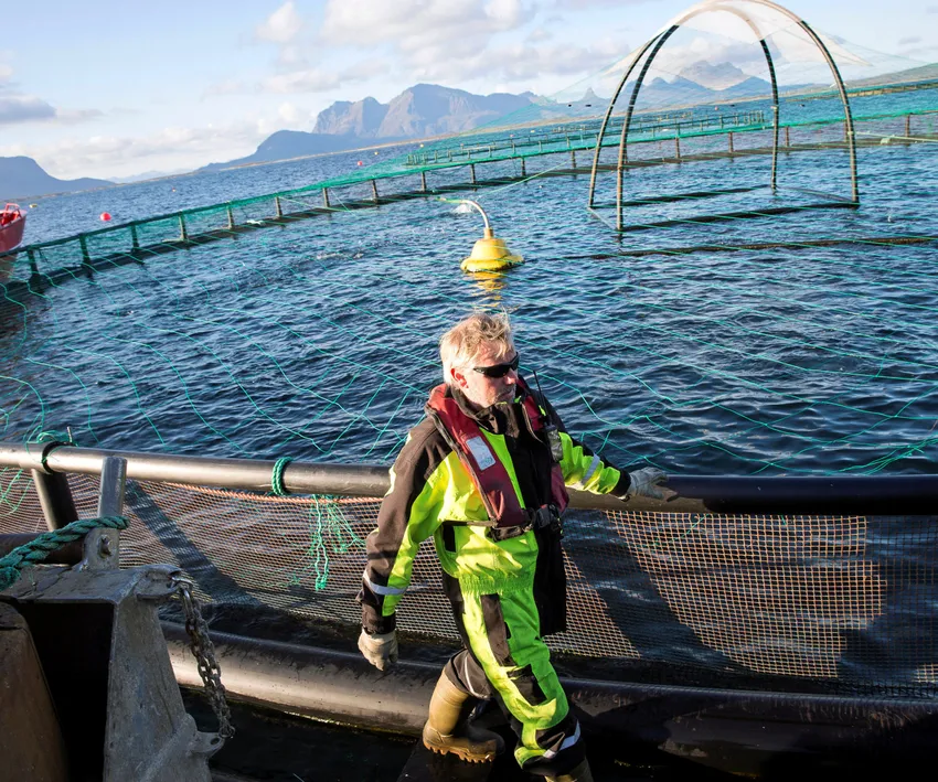 Så mye øker timelønna for havbruksarbeidere