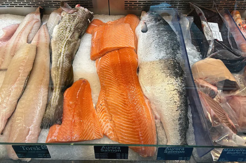 Dårlig år for North Sea Seafood: – Ikke tilfreds