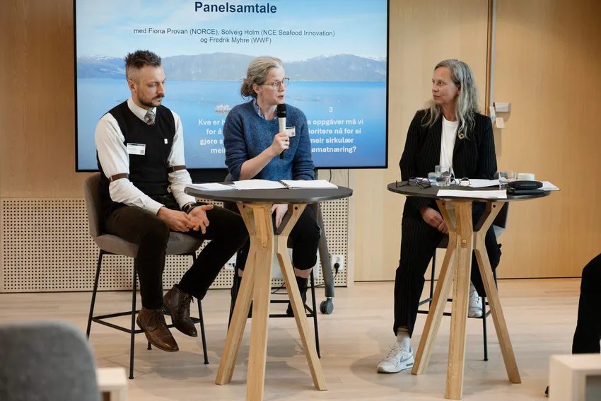Havbruksmeldingen: – Det er andre ting enn lus som er målbare