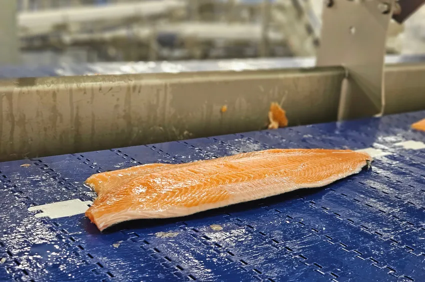 Tørrfiskprodusent snur seg og satser på laks