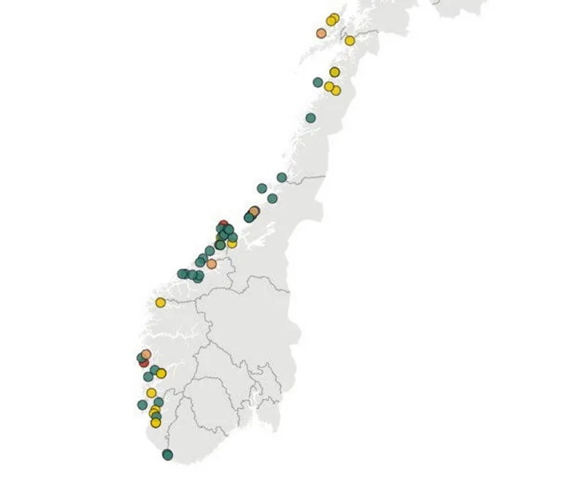 Her har det blitt rapportert inn rømming så langt i 2024