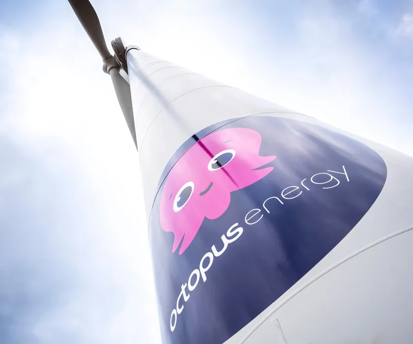 UK’s wasted wind power laid bare by new Octopus tracking tool