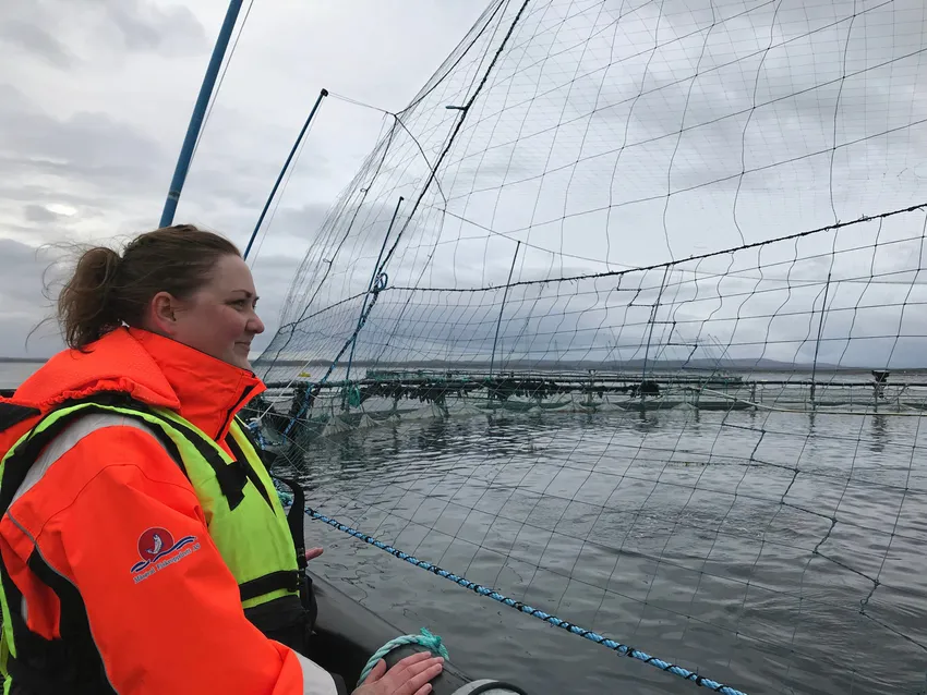 Salgssjef i Måsøval: – Vi må gjøre bærekraft til noe vi kan måles på