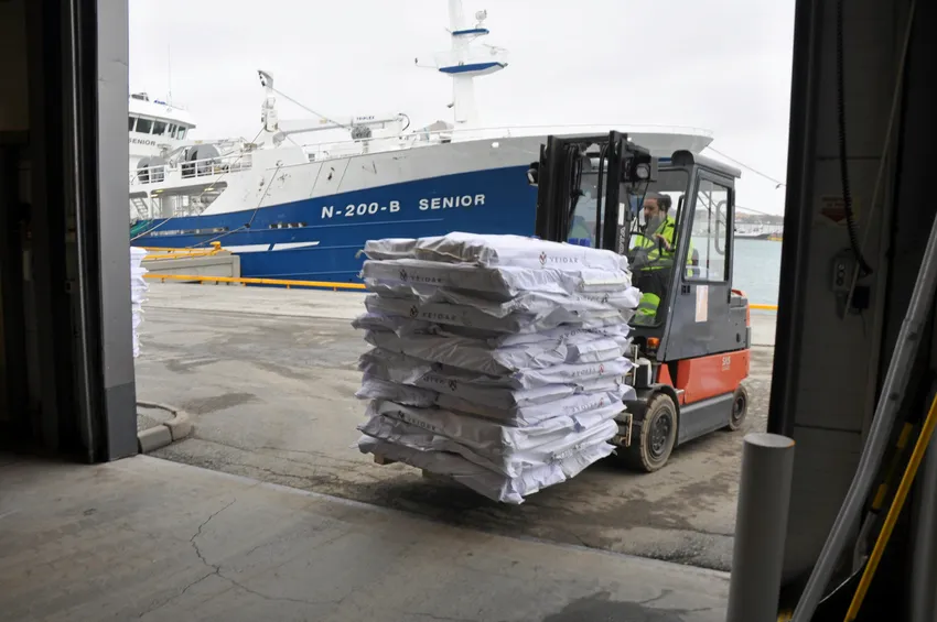 Villfisk skulle gi drahjelp for laksehotellet i Bodø