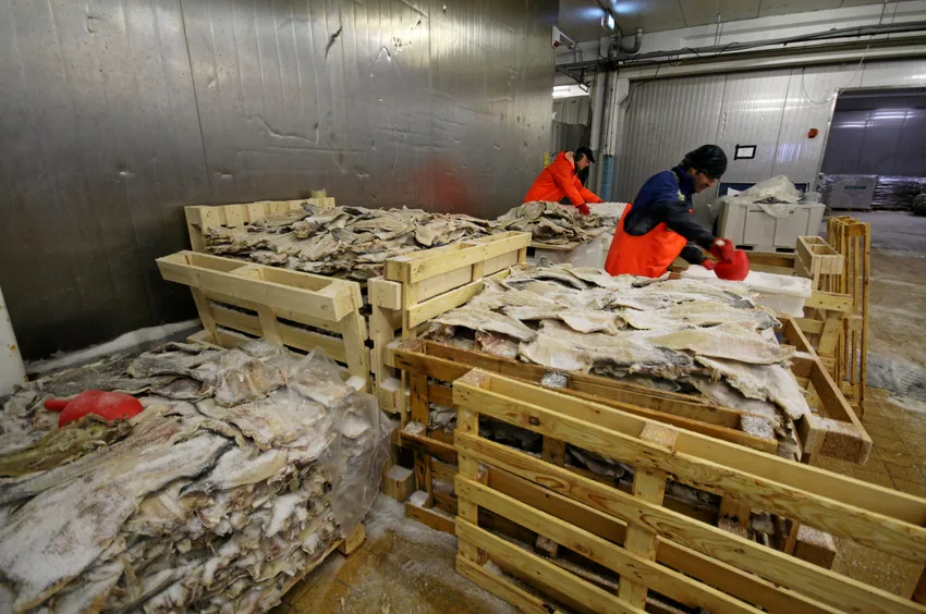 EU vil etterforske norske fiskeriselskap for mulig svindel med tollfrie kvoter