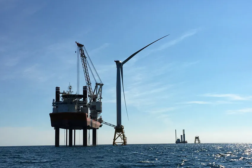 'Rubber stamp' | US fisheries body quits en masse over offshore wind project approval