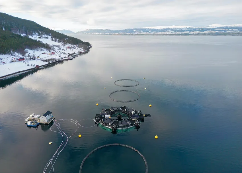 Fiskeridirektoratet mener driften i dette anlegget er «teknisk og miljømessig uforsvarlig»
