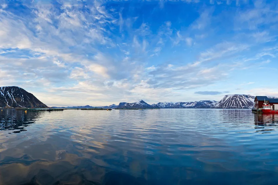 Det var ved denne lokaliteten til Cermaq i Husfjord i Hammerfest at fisken blei lasta om bord.