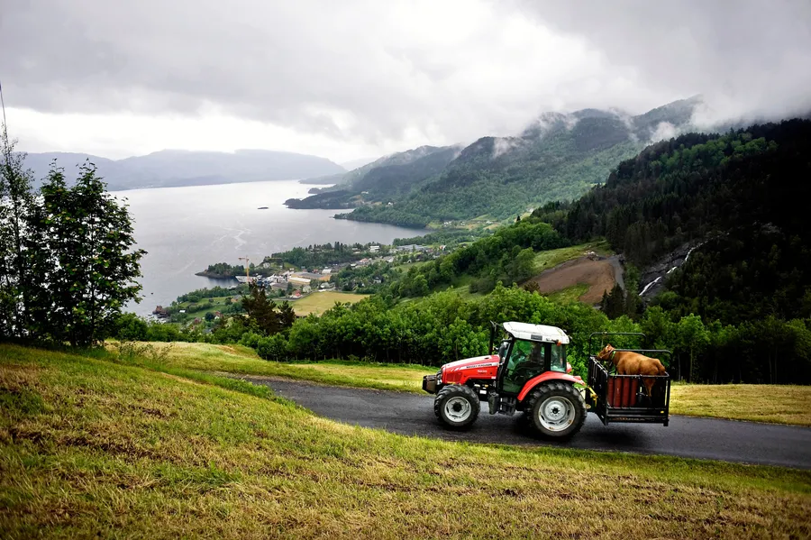 Norsk landbruk ved havet.