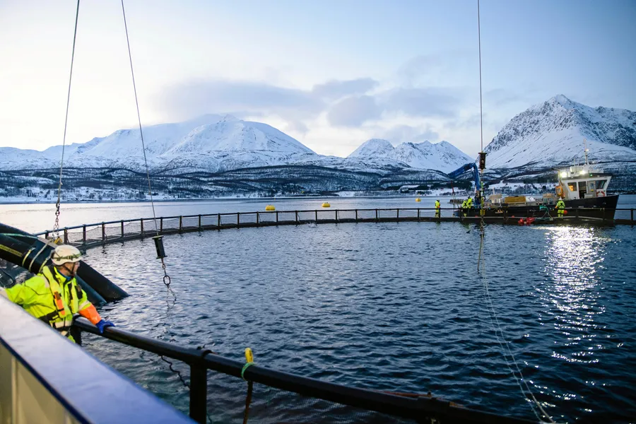 Myndighetenes signal er at havbruk til havs kan være en del av den grønne omstillingen.