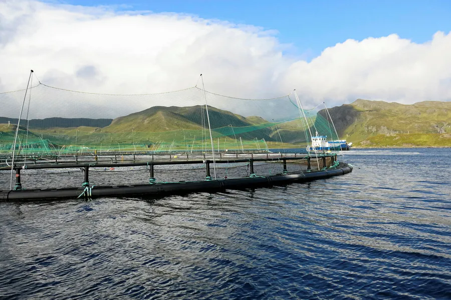 Fra Grieg Seafoods anlegg i Finnmark.