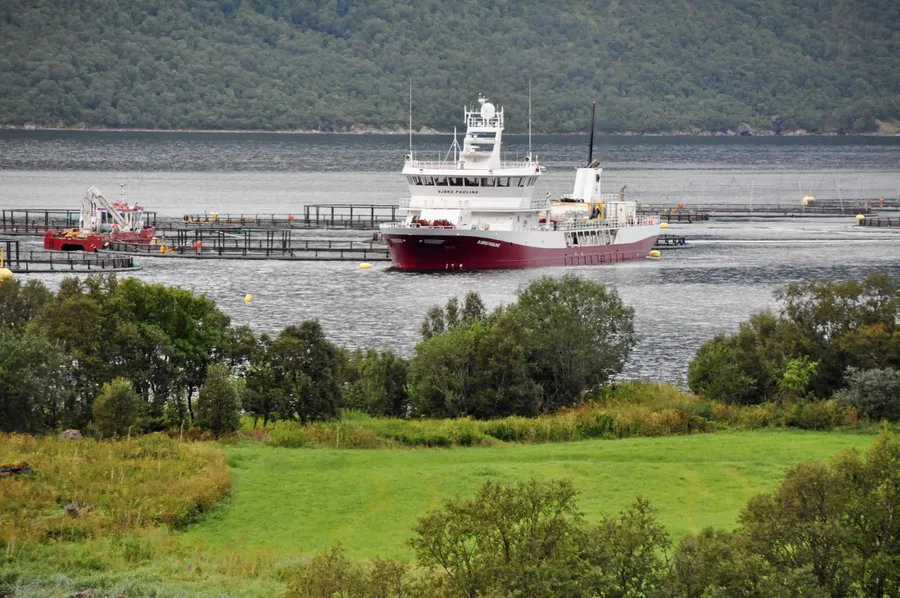 Landbruk og havbruk, side om side: Her fra lokaliteten Skommesvik i Kvæfjord kommune i Troms.